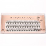 Gene false  smocuri / manuchi  10D cu Effect WOW C/0,07 de 12mm - 60 smoc